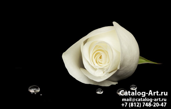 Натяжные потолки с фотопечатью - Белые розы 31